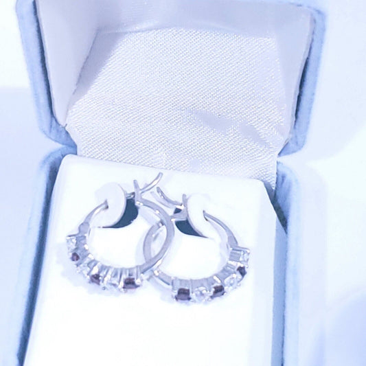 Sterling Silver Garnet And Cubic Zirconias Earrings